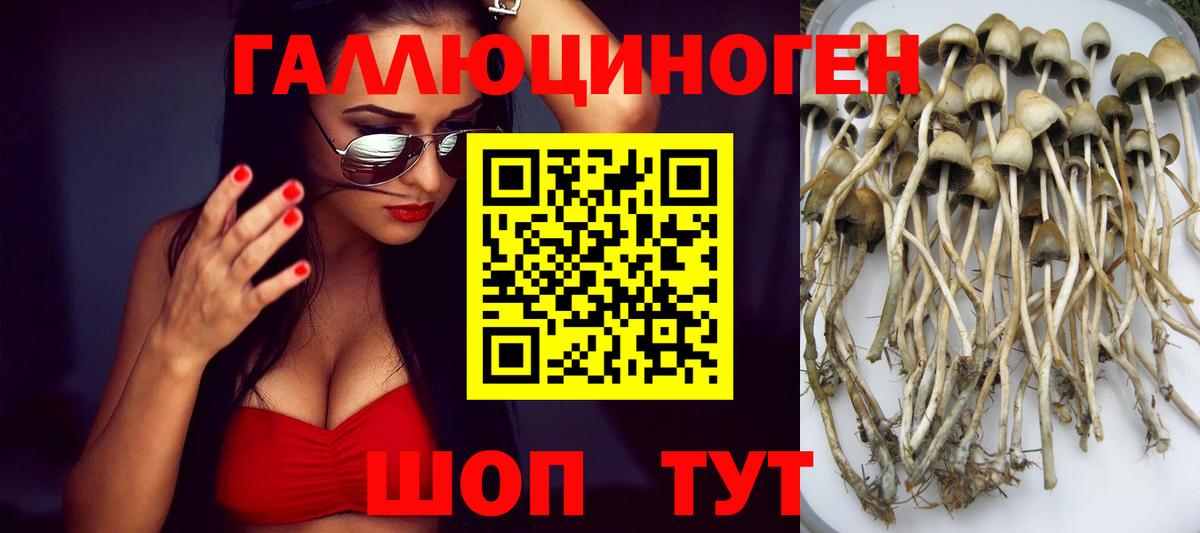 Псилоцибиновые грибы мухоморы Кушва